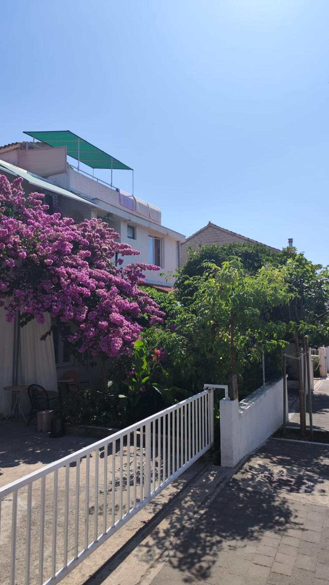 Apartments Suri Vodice Ngoại thất bức ảnh